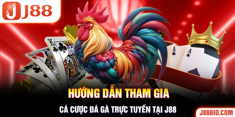 Cách đăng ký tham gia cá cược đá gà tại website