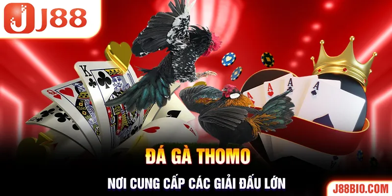 Hình thức trực tiếp chọi gà Thomo Campuchia