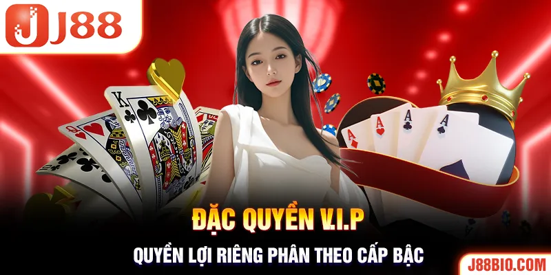 Thành viên VIP và những quyền lợi riêng theo cấp bậc