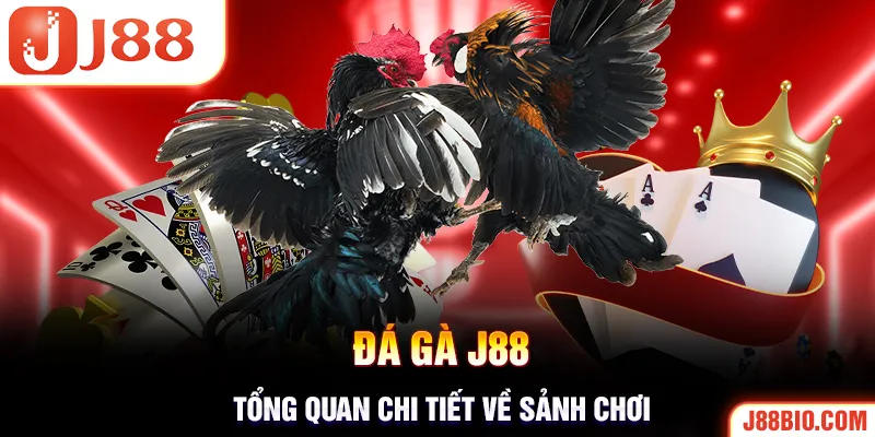 Tổng quan về sảnh game đá gà tại J88